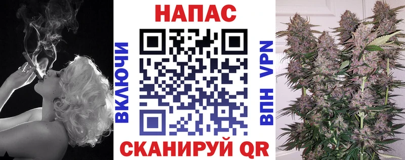 МАРИХУАНА планчик  Кимовск 